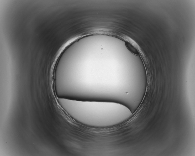 X0000087571435200704270936