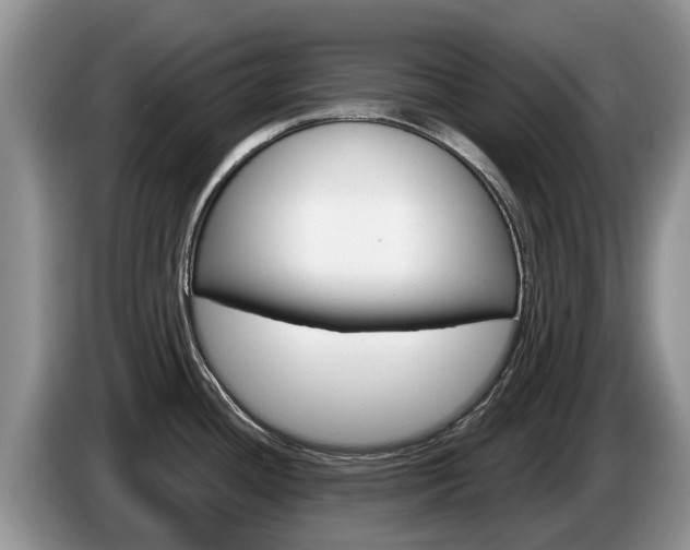X0000087571436200704270936