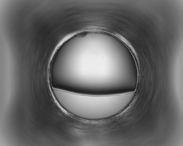 X0000087571437200704270936