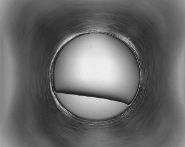 X0000087571439200704270936