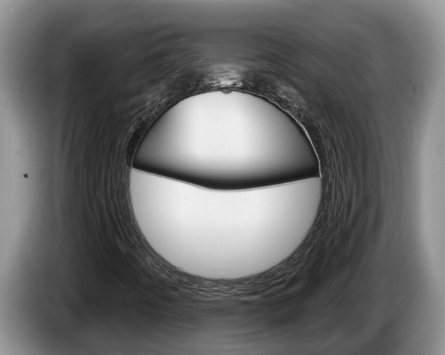 X0000087571442200704270935