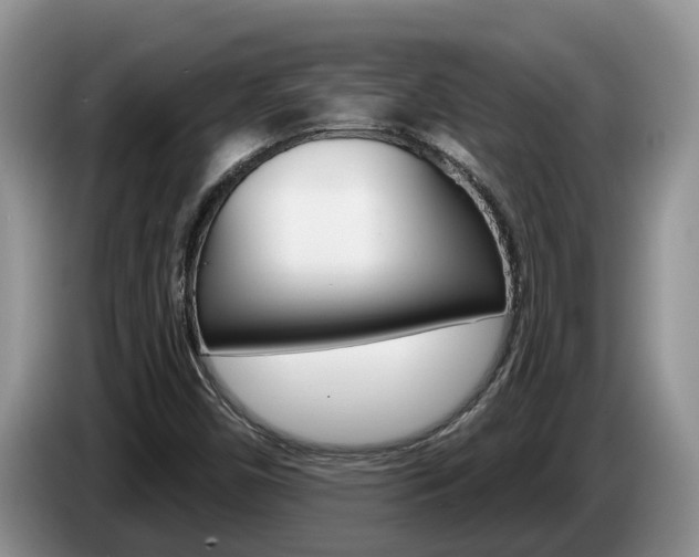 X0000087571450200704270935