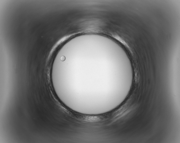 X0000087571454200704270935