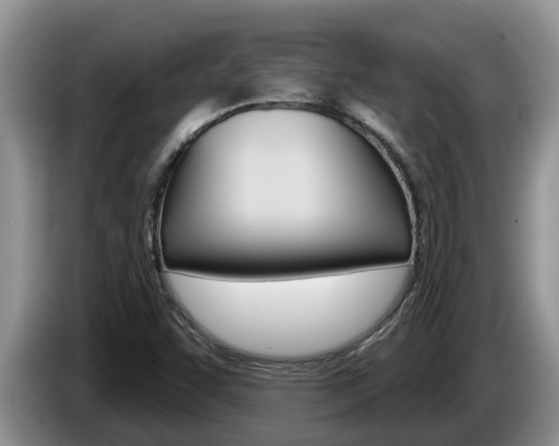 X0000087571455200704270935