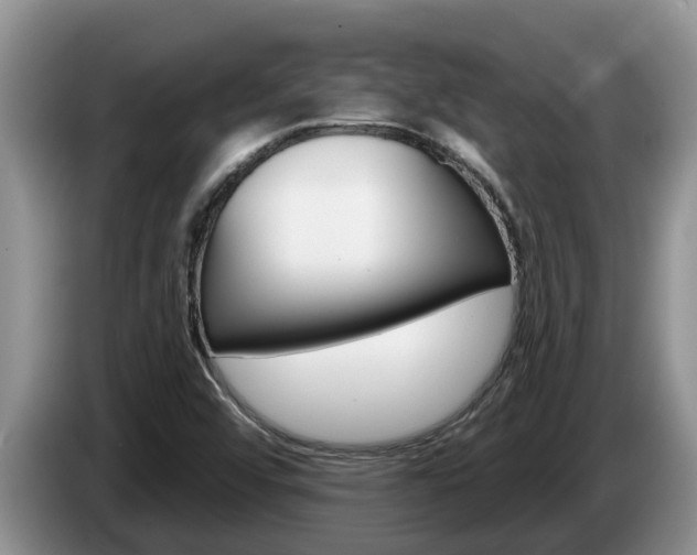 X0000087571456200704270935
