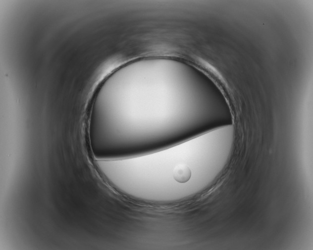 X0000087571463200704270935