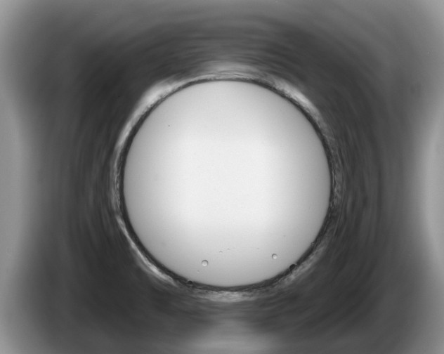 X0000087571470200704270935