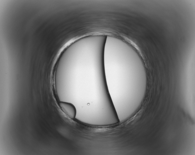 X0000087571471200704270935