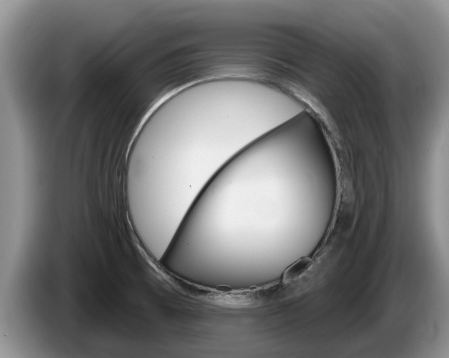 X0000087571473200704270935