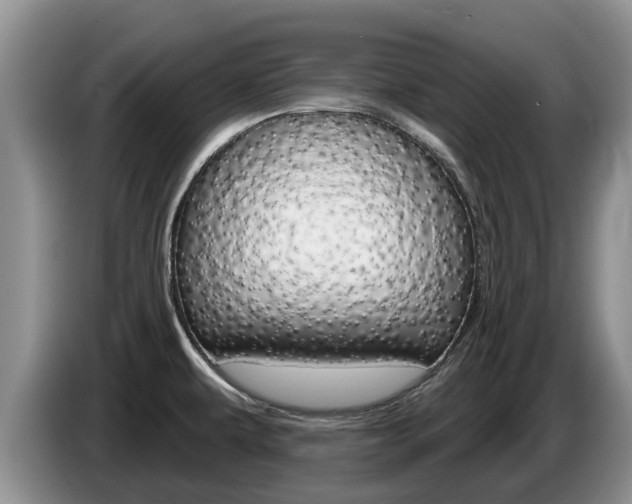 X0000087571479200704270935