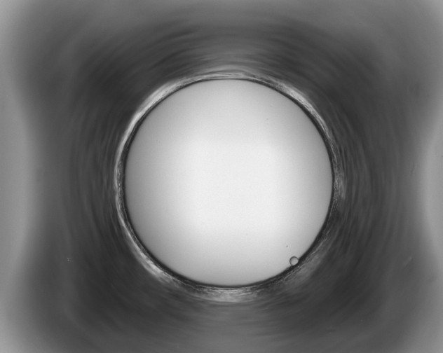 X0000087571482200704270935