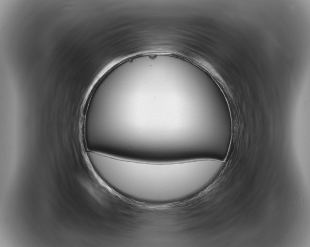 X0000087571484200704270935