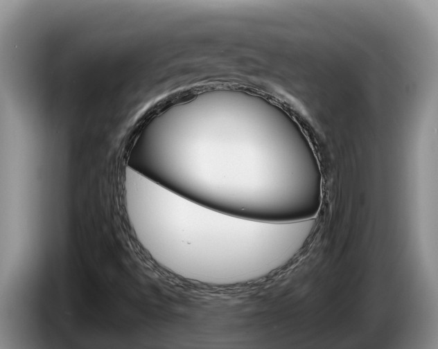 X0000087571496200704270934