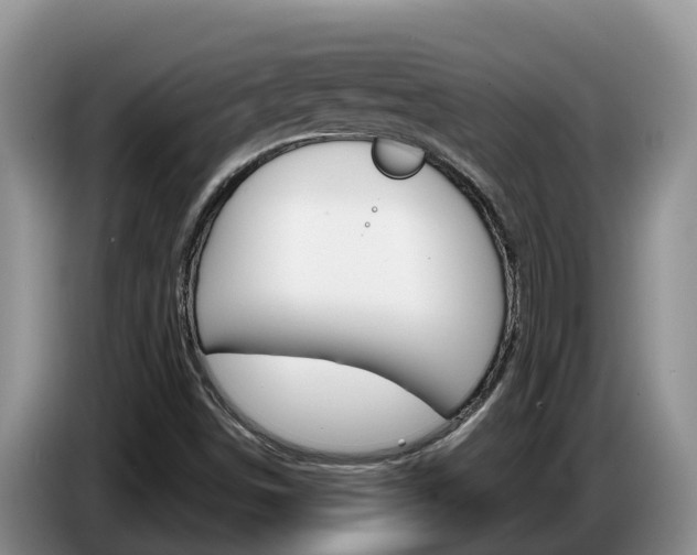 X0000087571498200704270934