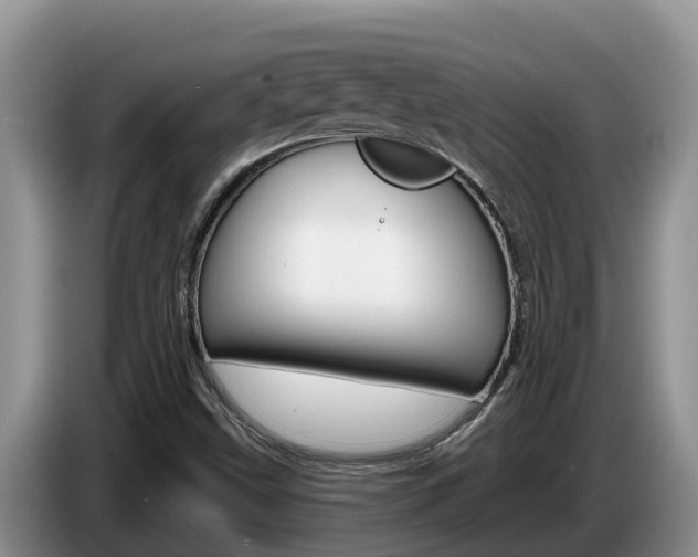 X0000087571499200704270934