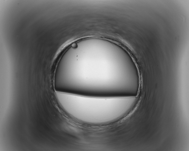 X0000087571501200704270934