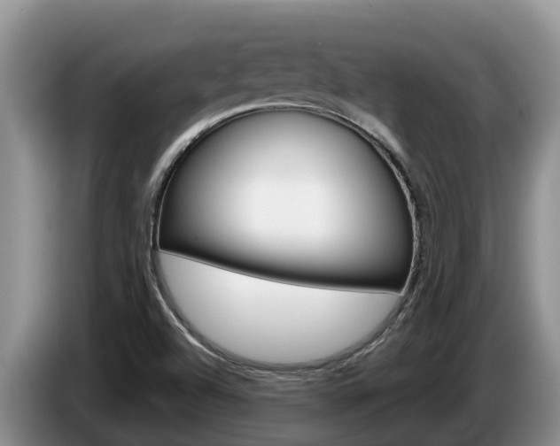 X0000087571504200704270934