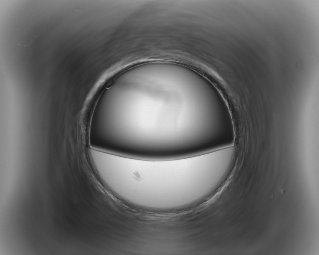 X0000087571506200704270934