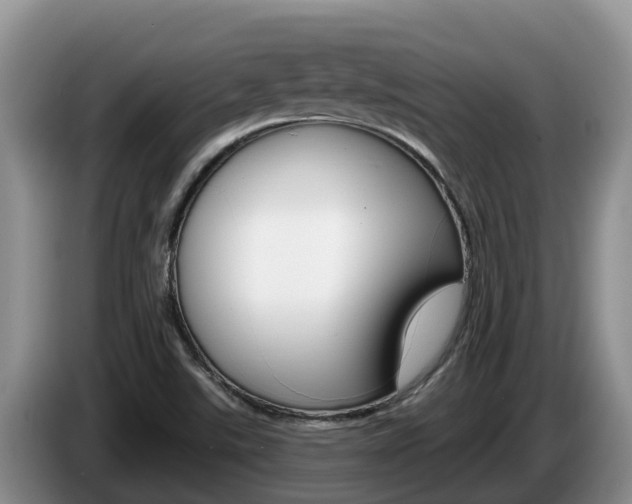 X0000087571507200704270934