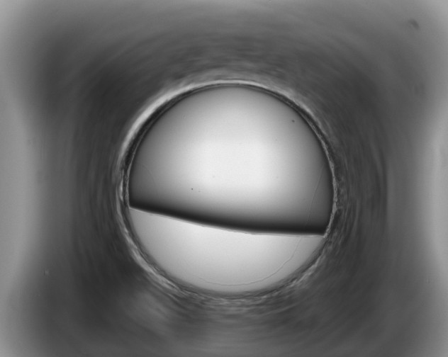 X0000087571511200704270934