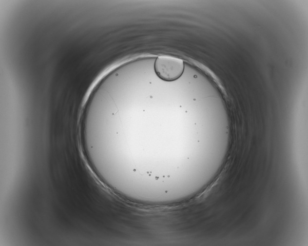 X0000087571514200704270934