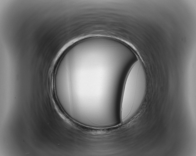 X0000087571515200704270934