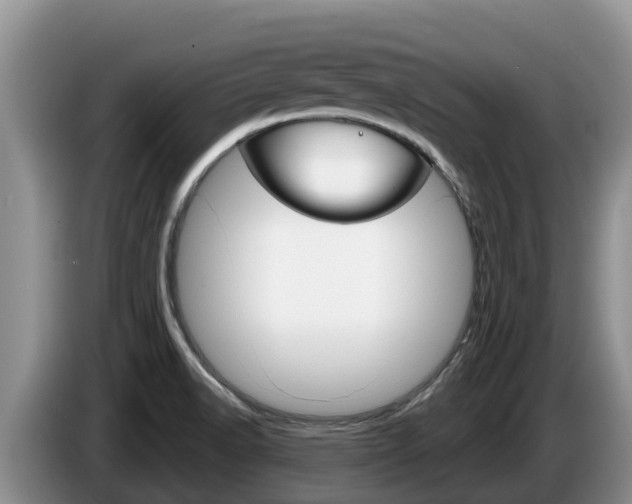 X0000087571518200704270934