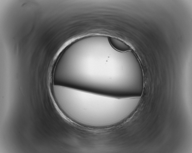 X0000087571523200704270934
