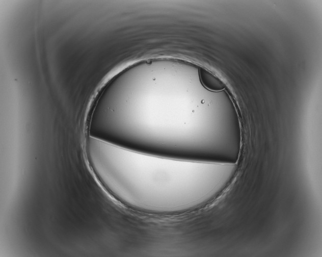 X0000087571525200704270934