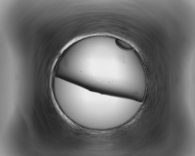 X0000087571526200704270934