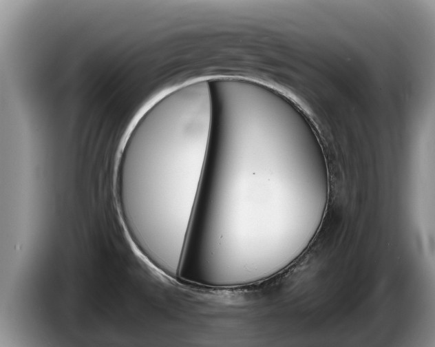 X0000087571527200704270934