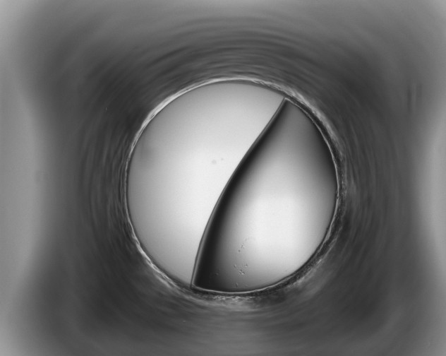 X0000087571529200704270934