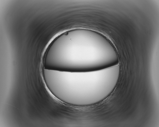 X0000087571531200704270934
