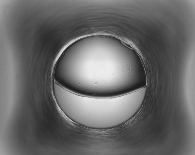X0000087571532200704270934