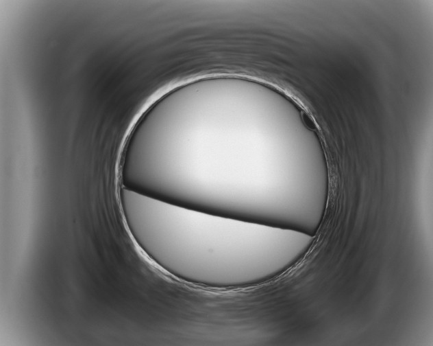 X0000087571535200704270935