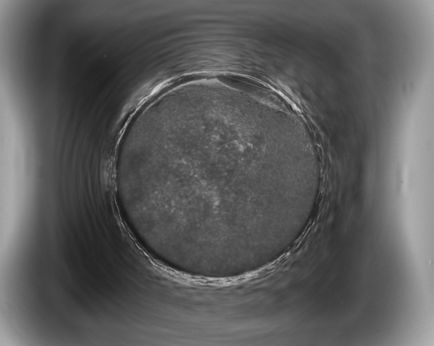 X0000087570002200704271255