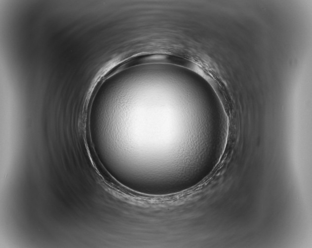 X0000087570003200704271255