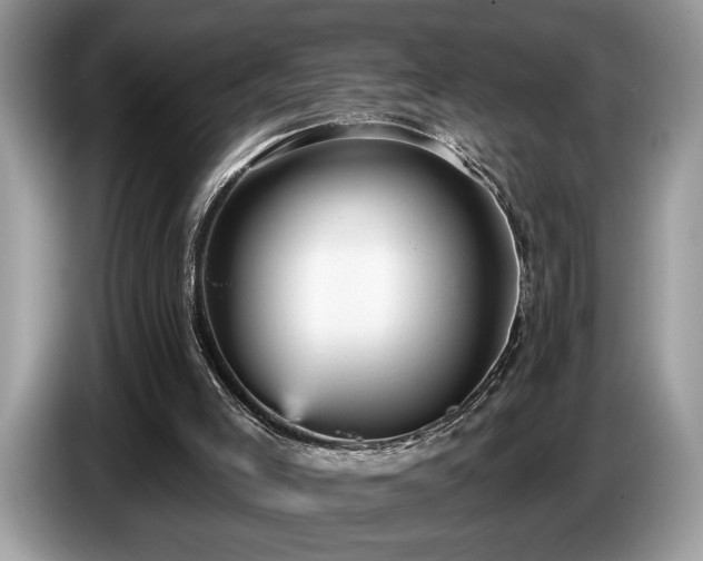 X0000087570005200704271255