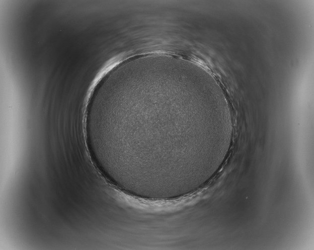 X0000087570006200704271255