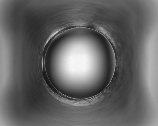 X0000087570011200704271255
