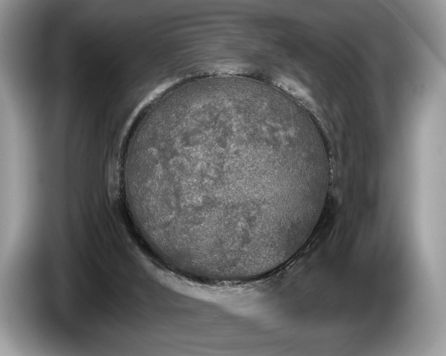X0000087570012200704271255