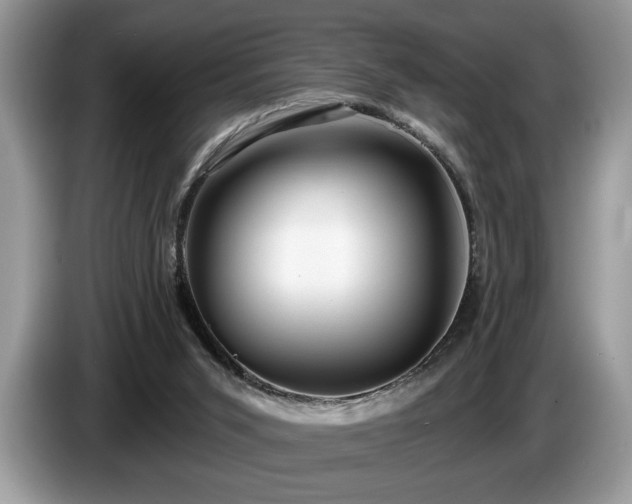 X0000087570015200704271255