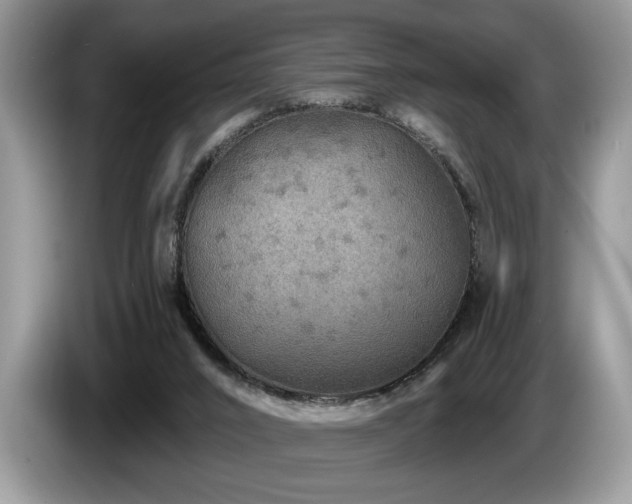 X0000087570016200704271255
