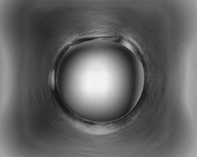 X0000087570020200704271255