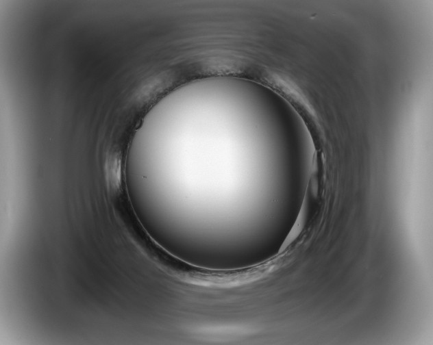 X0000087570021200704271255