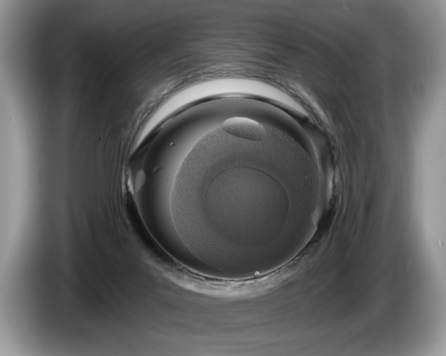 X0000087570023200704271255