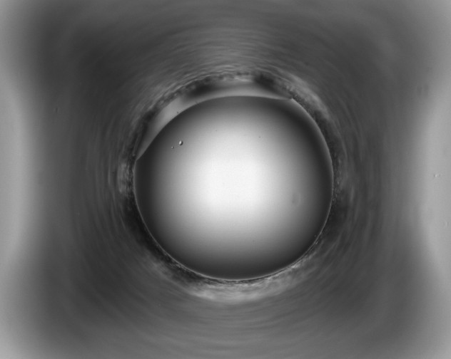 X0000087570025200704271255