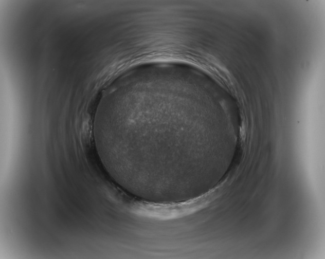 X0000087570029200704271255