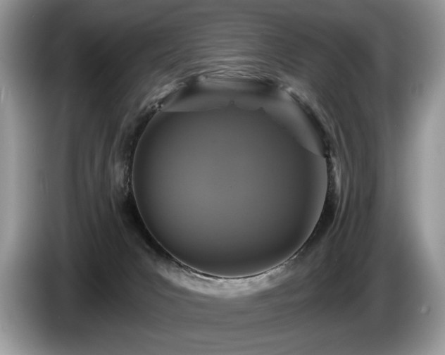 X0000087570031200704271255