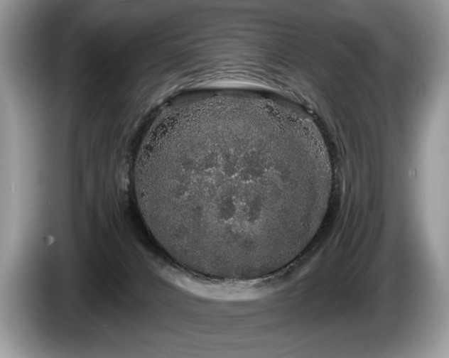 X0000087570032200704271255